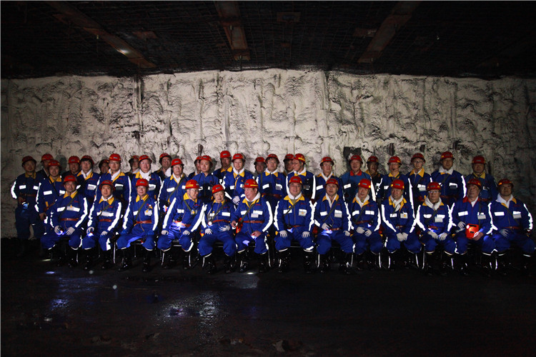 創(chuàng)新聯(lián)盟專家團隊在陜煤（右起左四為何滿潮院士、宋振騏院士、張鐵崗院士、煤炭工業(yè)協(xié)會副理事長劉峰